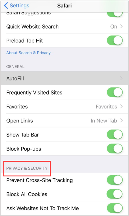 "Privacy & Security" section of Safari options.